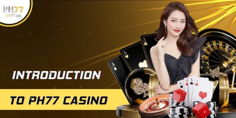 Phân tích bảo mật và quyền riêng tư 79King